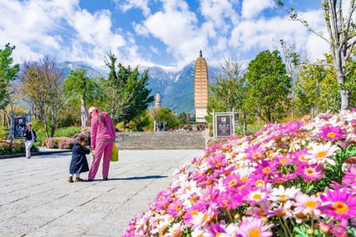 大理崇圣寺三塔文化旅游区上榜