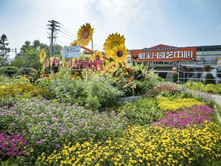 新春游攻略②丨期待 六区线路边赏边玩,今年春节就这么过