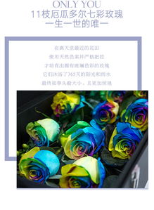 情人节鲜花预售 枪炮礼盒 11枝进口七彩玫瑰花