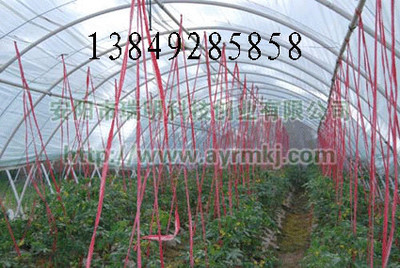 供应新乡花卉大棚