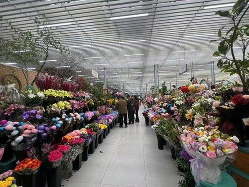 北京高质量发展 城区就有你向往的 旷野 北京打造花园之都