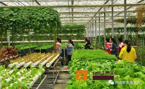 给孩子一次走进台湾的机会,两岸文化大碰撞,感知宝岛民俗风情