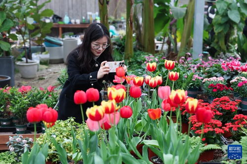 美丽乡村迎来 鲜花经济 的春天