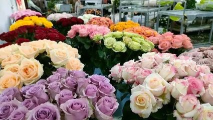 王鹏程:“花花世界”中探寻致富路