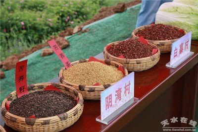 大门镇:以“农”为媒 以“花”会友 为农特产品开销路拓市场(图)