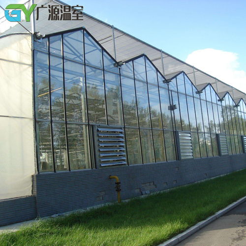 智能温室大棚与传统温室大棚的区别
